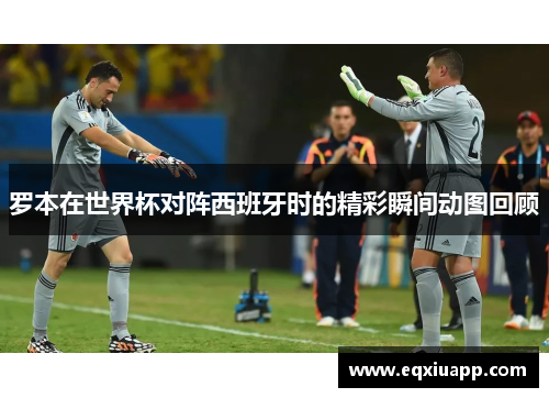 罗本在世界杯对阵西班牙时的精彩瞬间动图回顾
